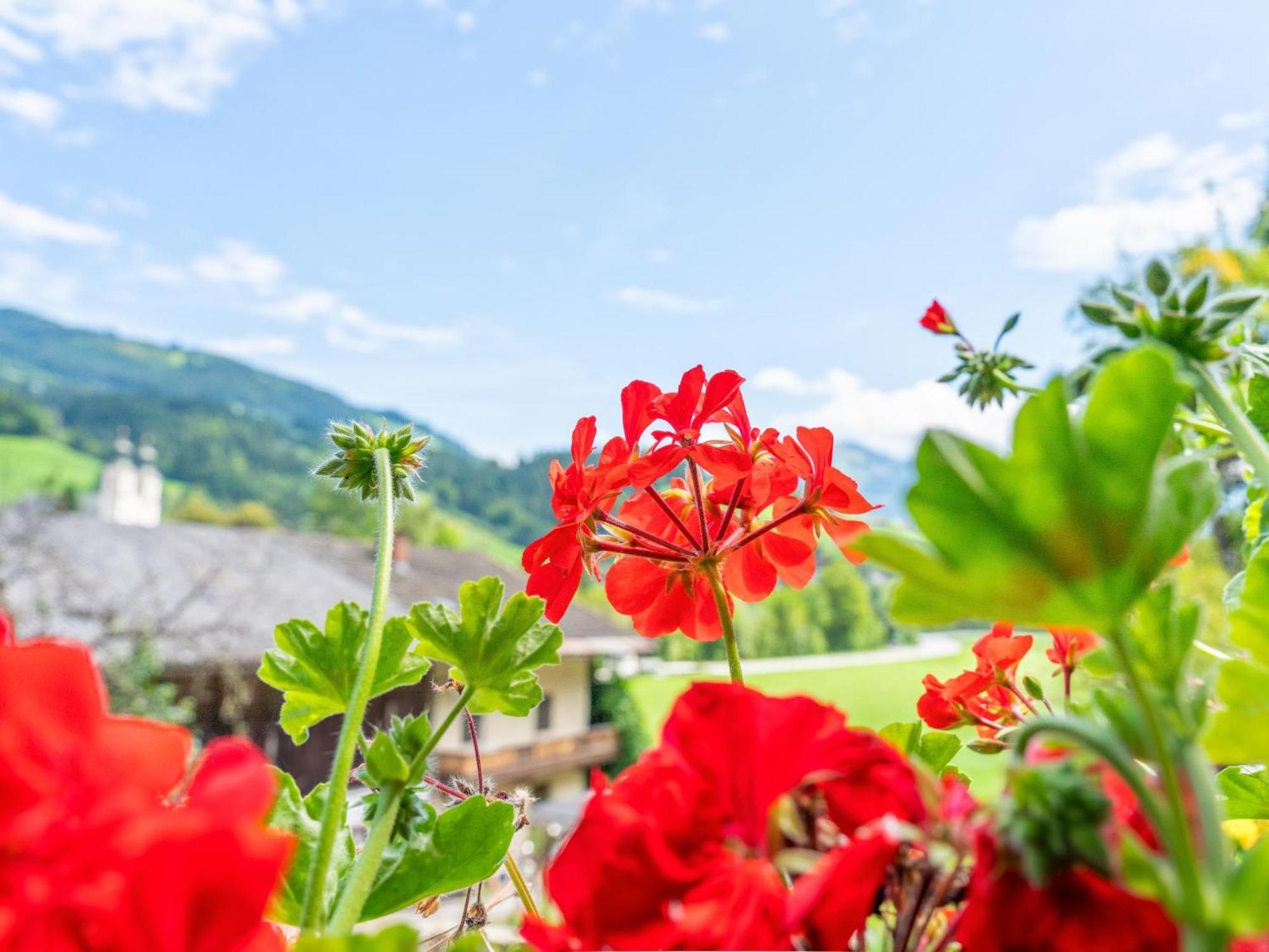 Alte Grafenmuehle Villa Hopfgarten im Brixental Buitenkant foto