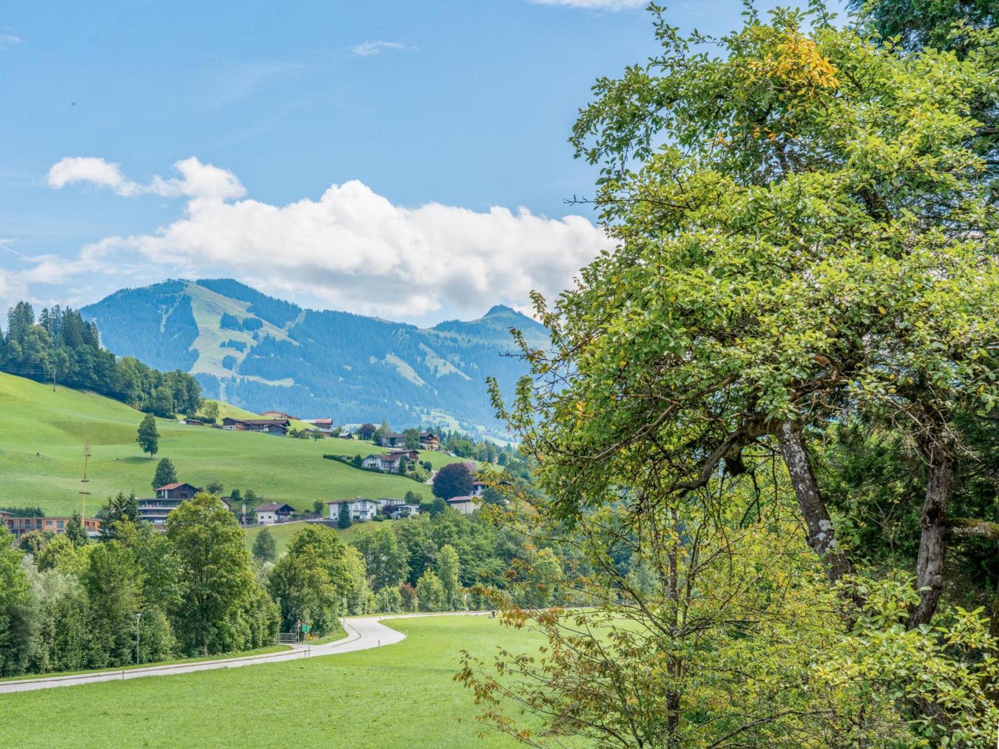 Alte Grafenmuehle Villa Hopfgarten im Brixental Buitenkant foto